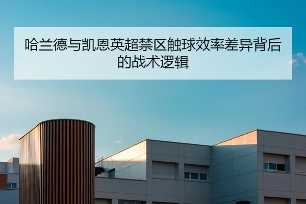 哈兰德与凯恩英超禁区触球效率差异背后的战术逻辑