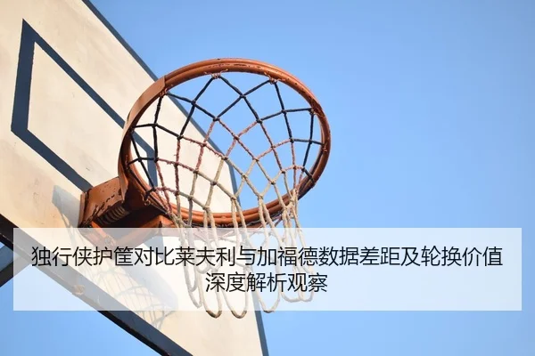 独行侠护筐对比莱夫利与加福德数据差距及轮换价值深度解析观察